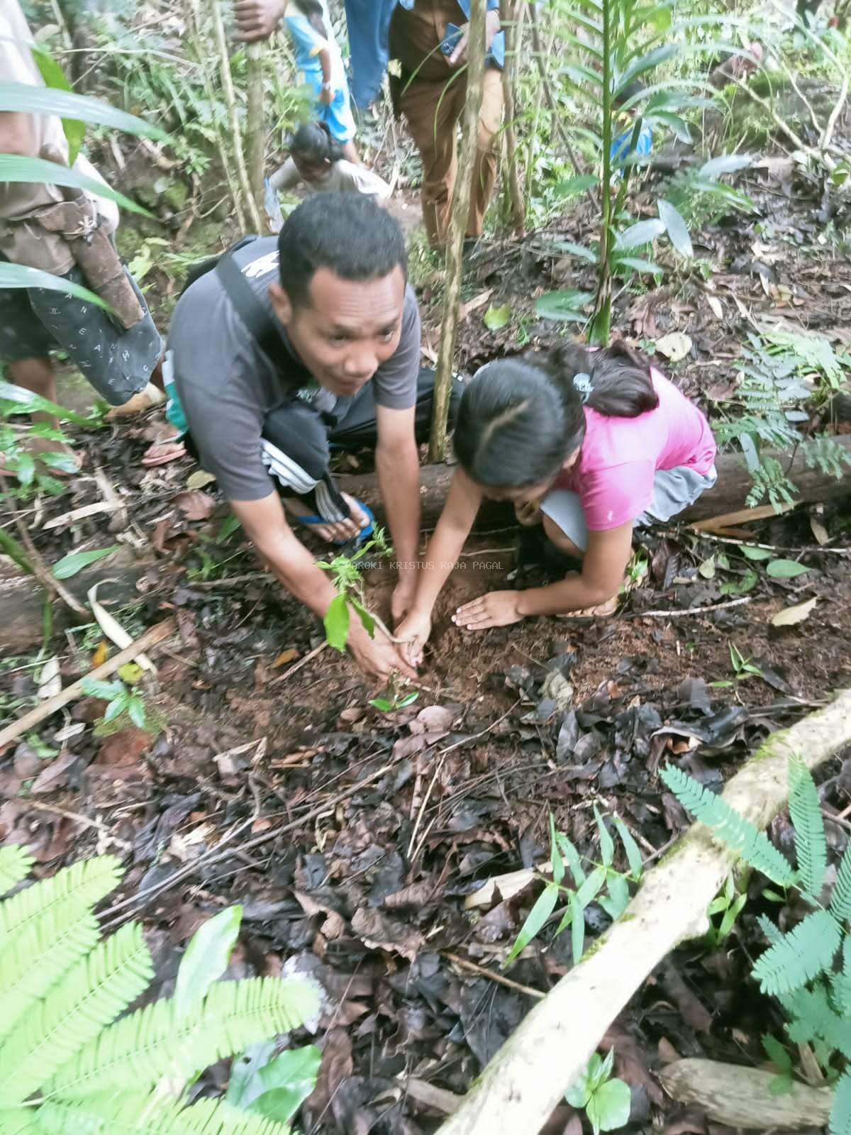 Alam: Ugkapan Kasih Allah-Sang Pemberi Hidup